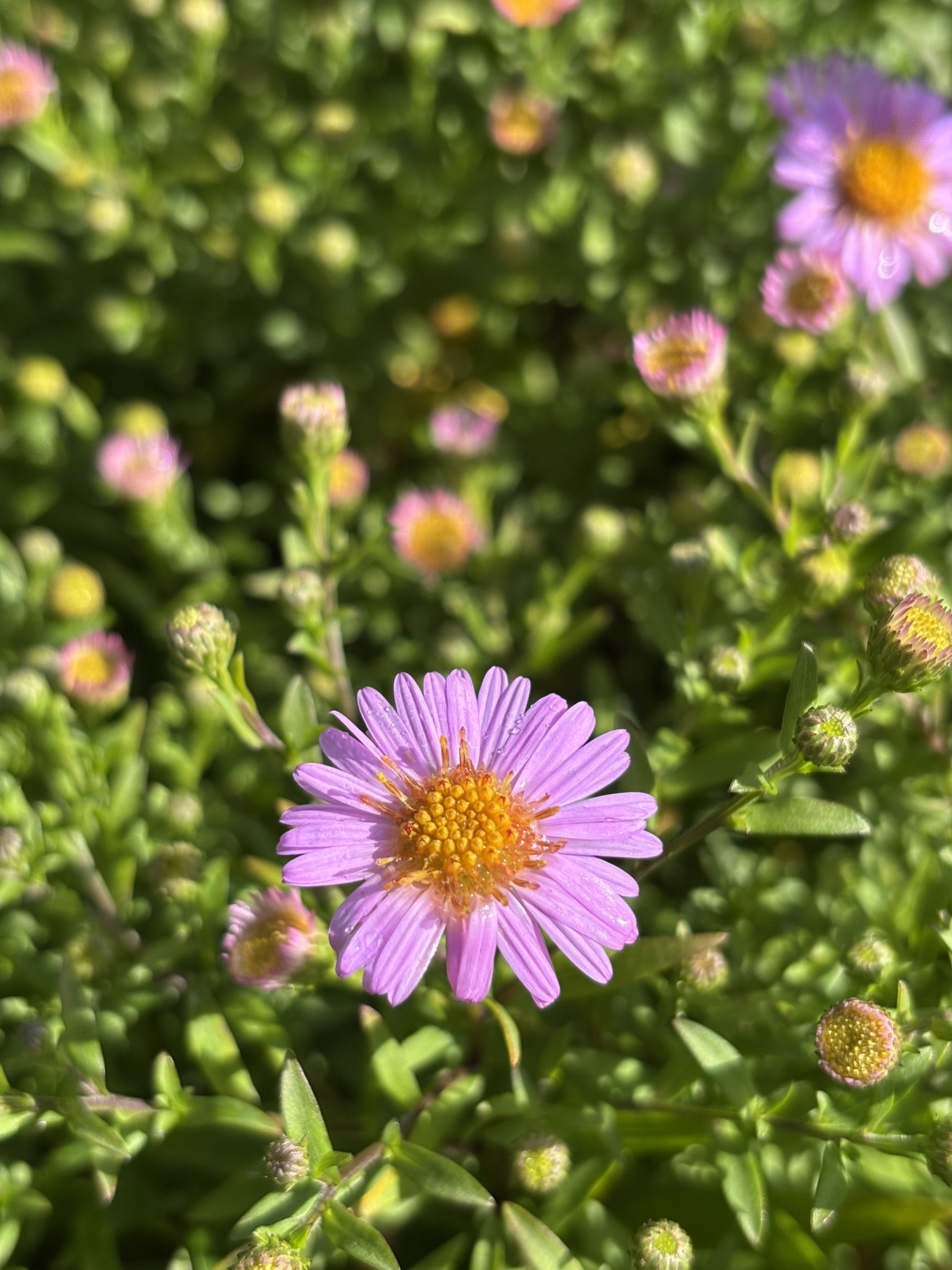 Activiteiten galerijafbeelding 1