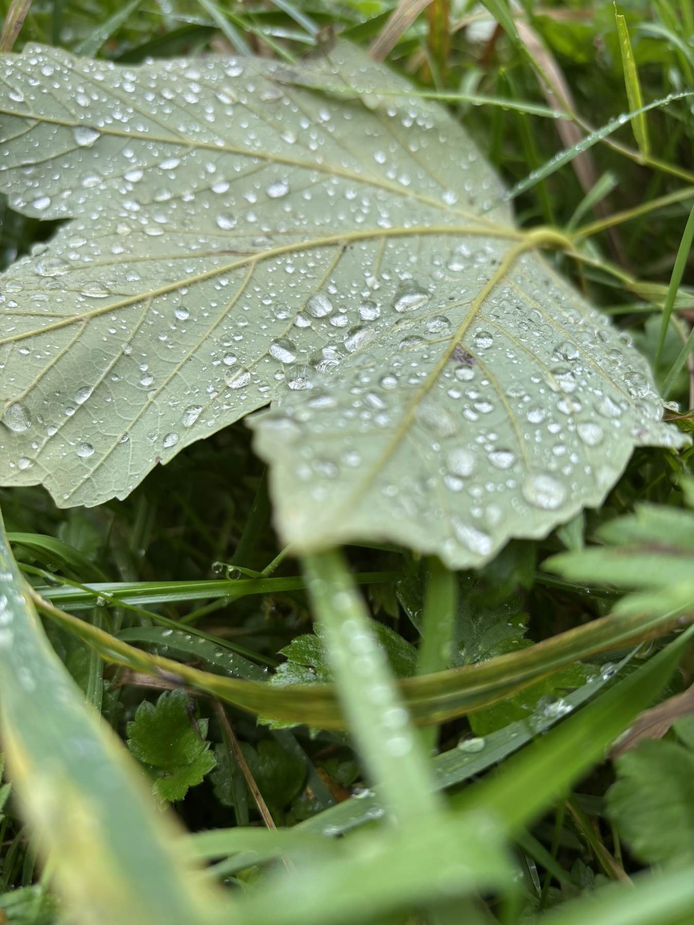 Activiteiten galerijafbeelding 2