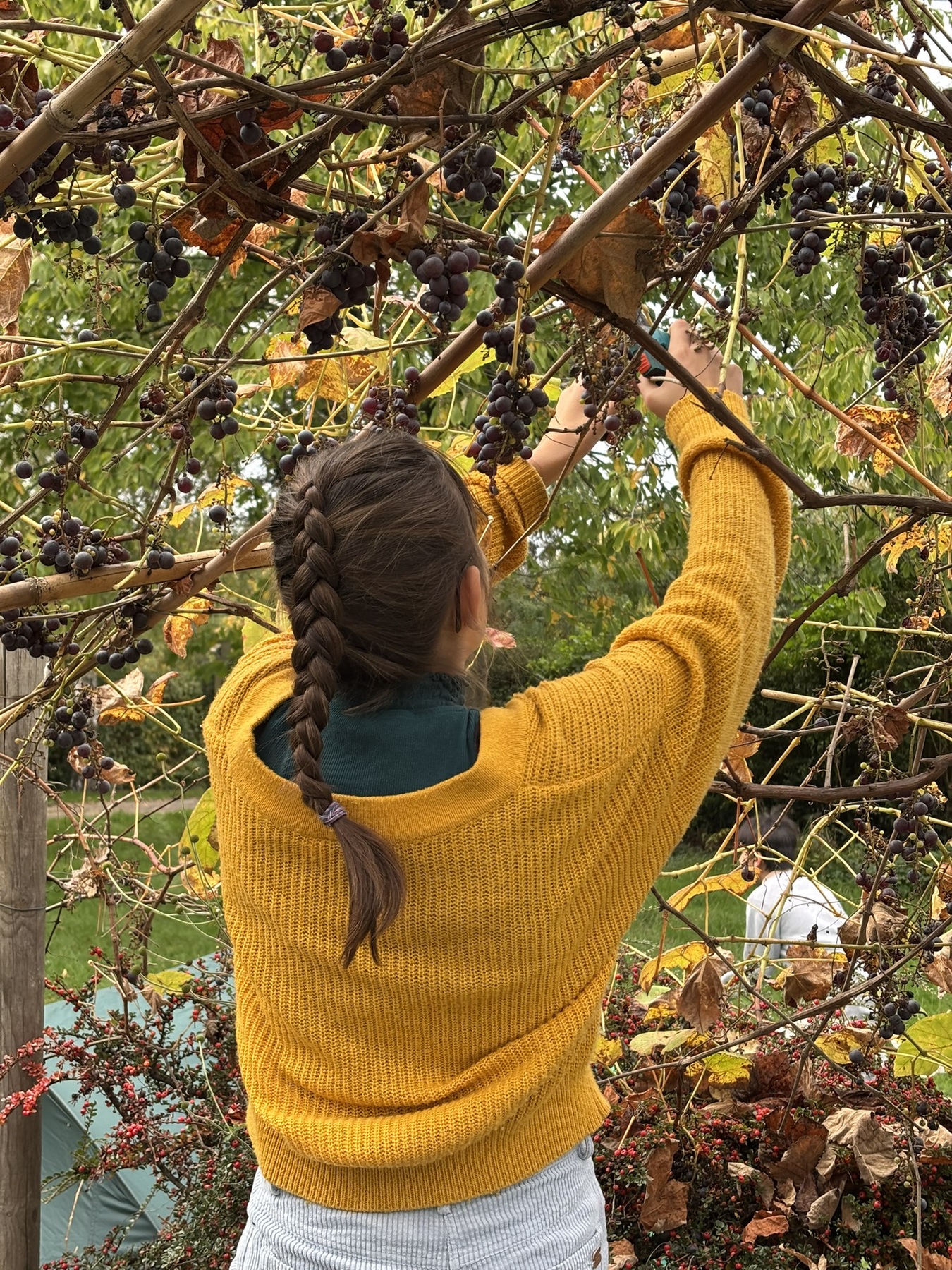 Activiteiten galerijafbeelding 3