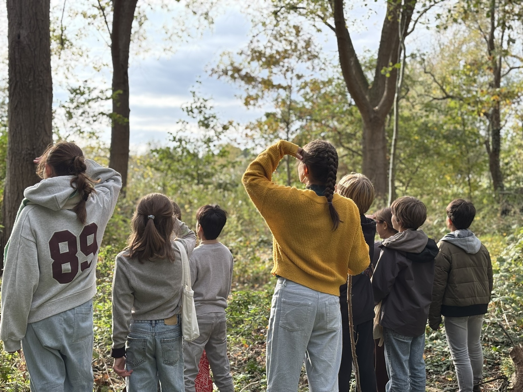 Activiteiten galerijafbeelding 4