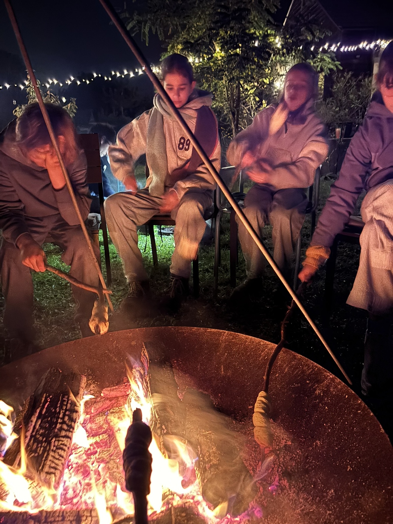 Activiteiten galerijafbeelding 10