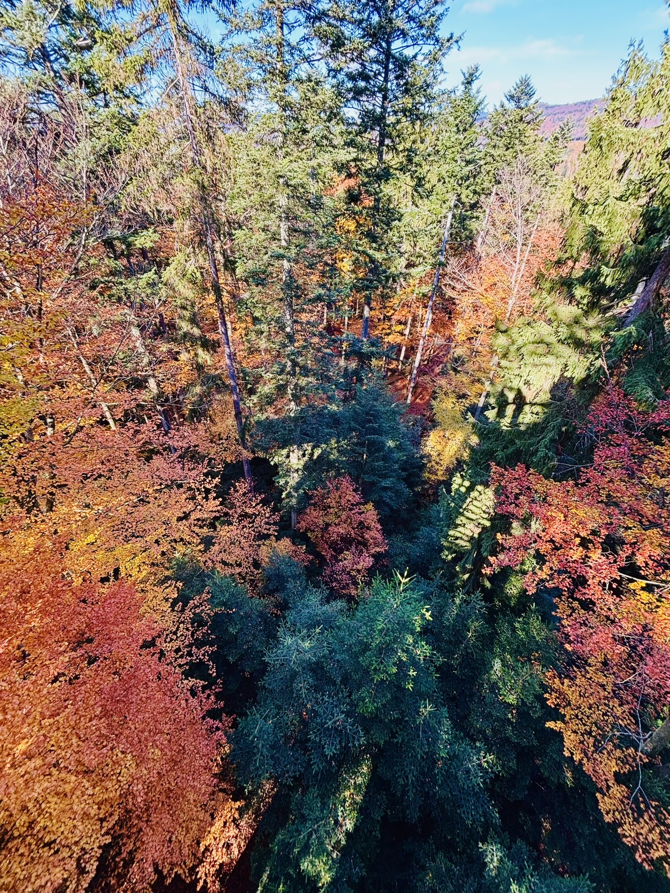 Activiteiten galerijafbeelding 13