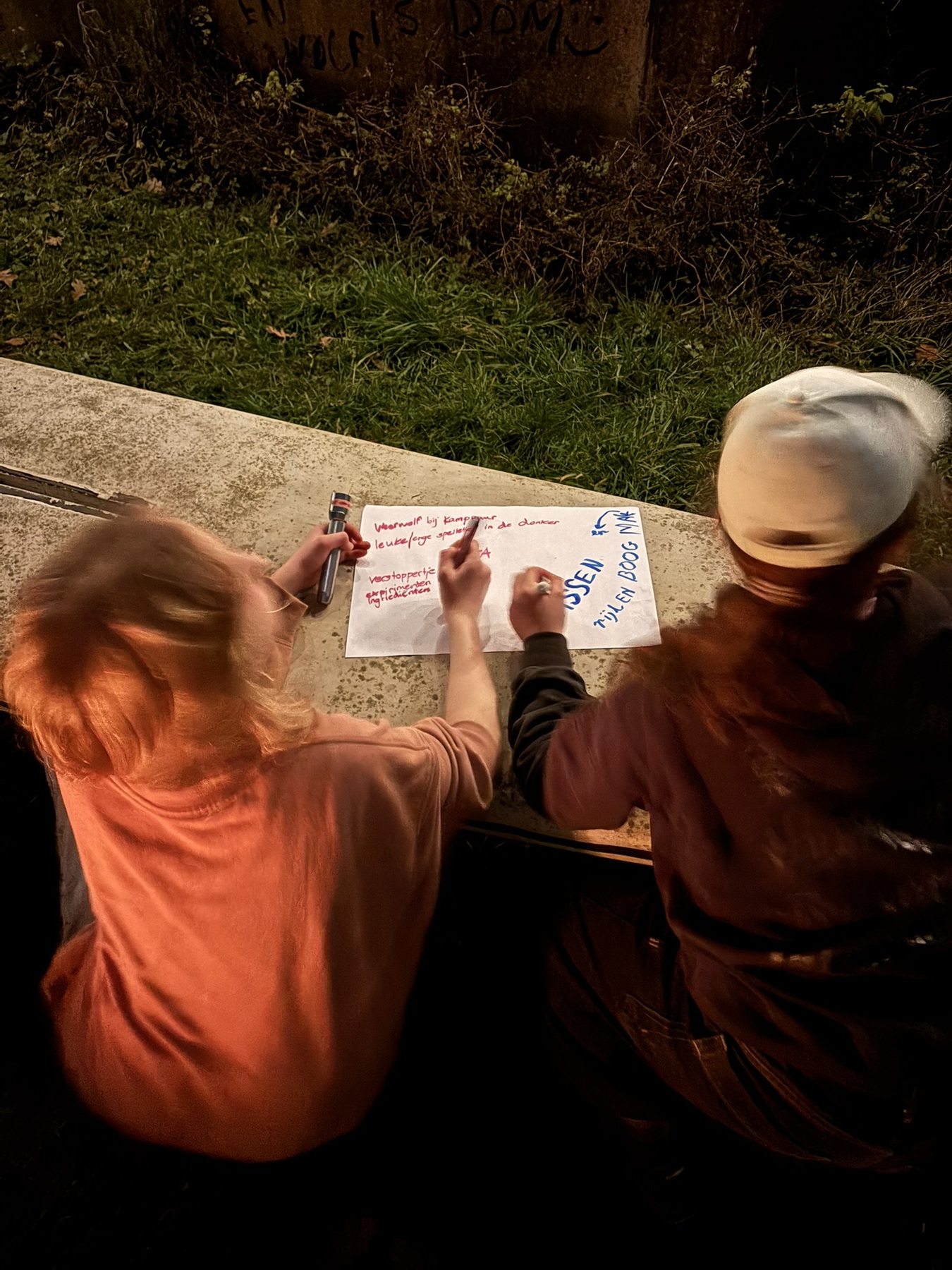 Activiteiten galerijafbeelding 16