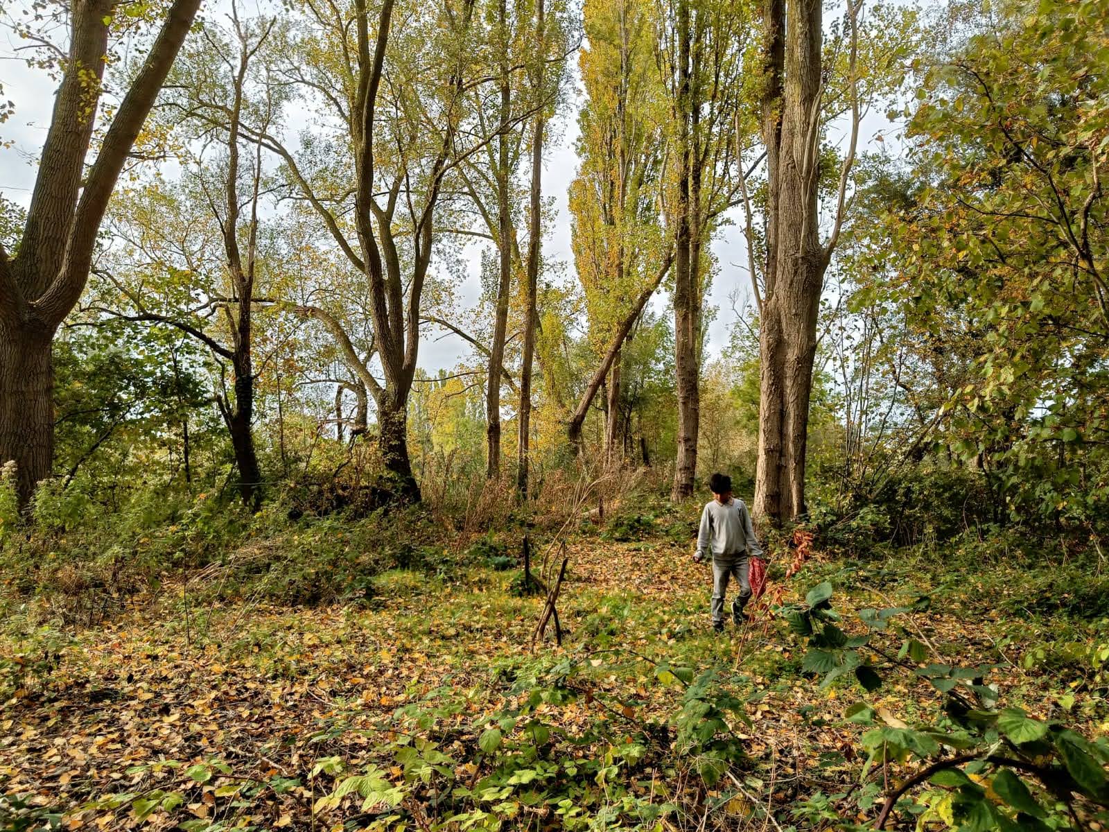 Routa vzw - jongeren ontdekken de kracht van natuur en verwildering tijdens een seizoensweekend