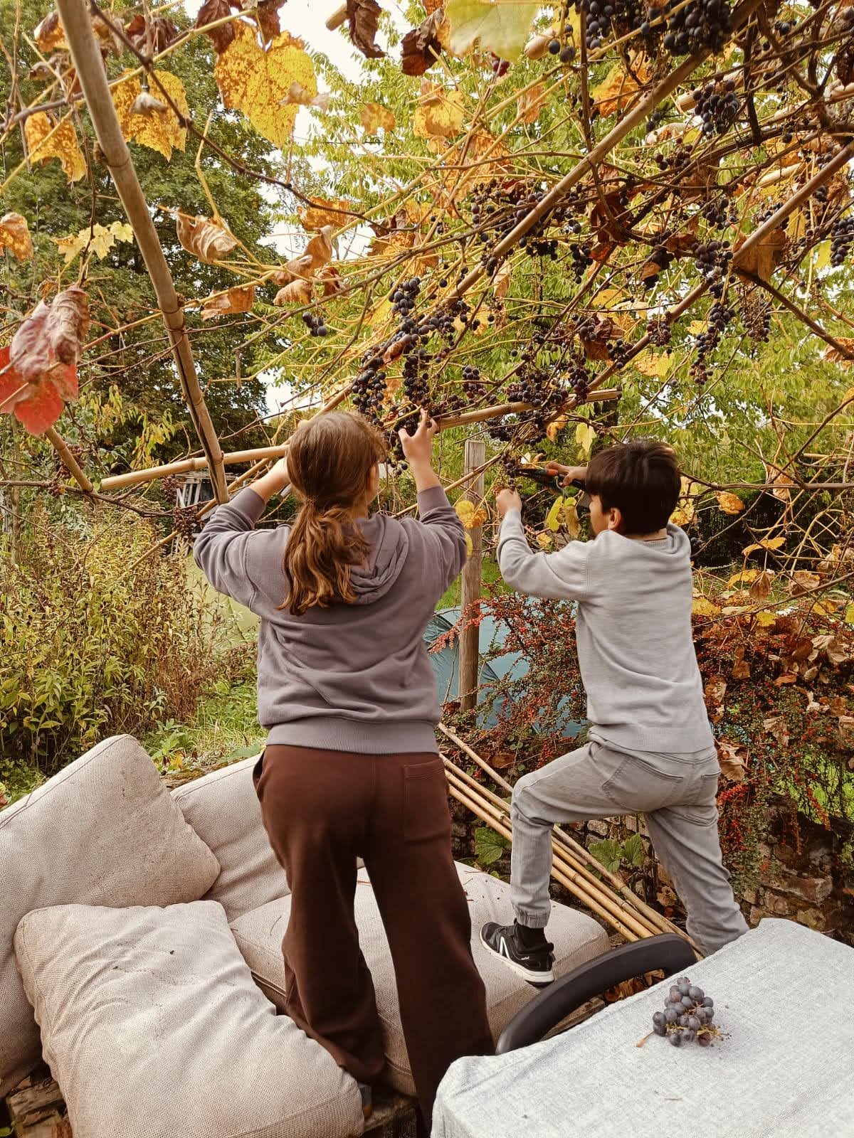 Routa seizoensweekend - jongeren koken op open vuur en verwilderen samen in de natuur
